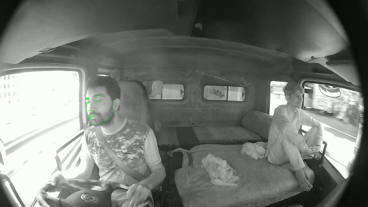 Daytime Drowsy Driver