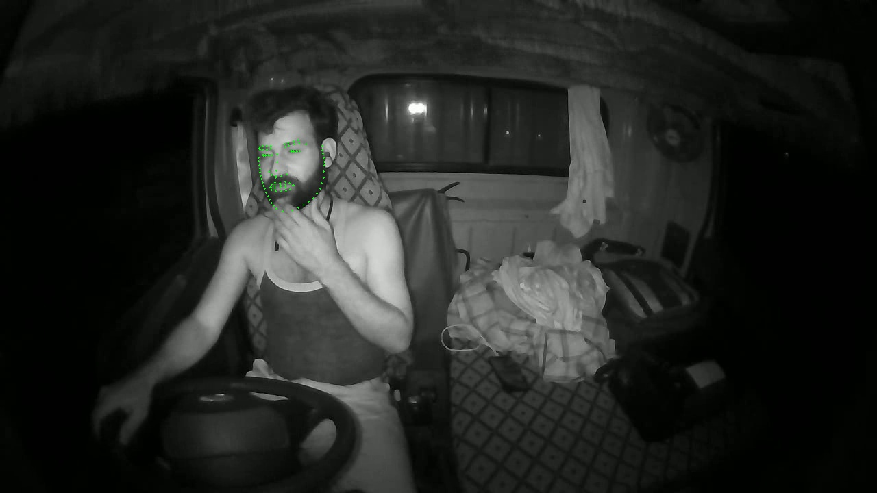 Sleeping Driver – Inattentiveness